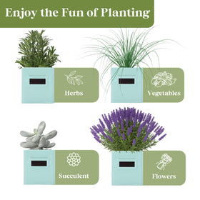PERFNIQUE compact kitchen windowsill planter fits sunny spots easily