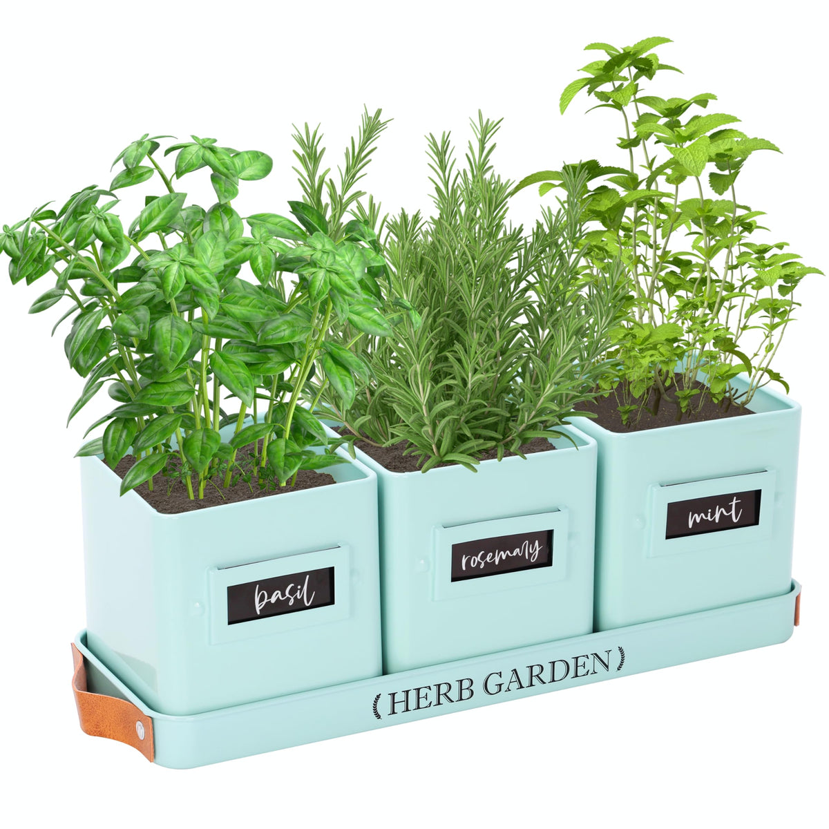 PERFNIQUE indoor herb garden planter with sage finish ideal for windowsills and fresh herbs