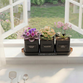 PERFNIQUE indoor outdoor use planter suitable for patio or kitchen