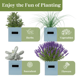 Perfnique kitchen windowsill planter display for compact herb gardening.