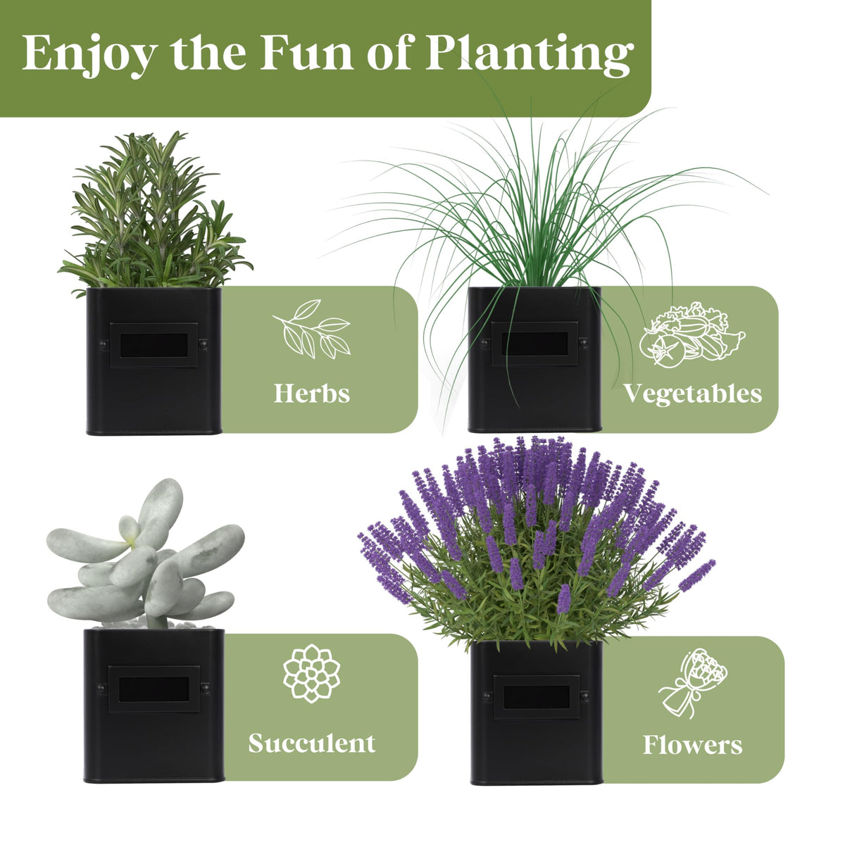 PERFNIQUE multi use planter for herbs flowers or small plants