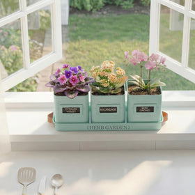 PERFNIQUE simple windowsill herb garden setup for year-round freshness