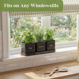 PERFNIQUE square windowsill planter maximizing herb space