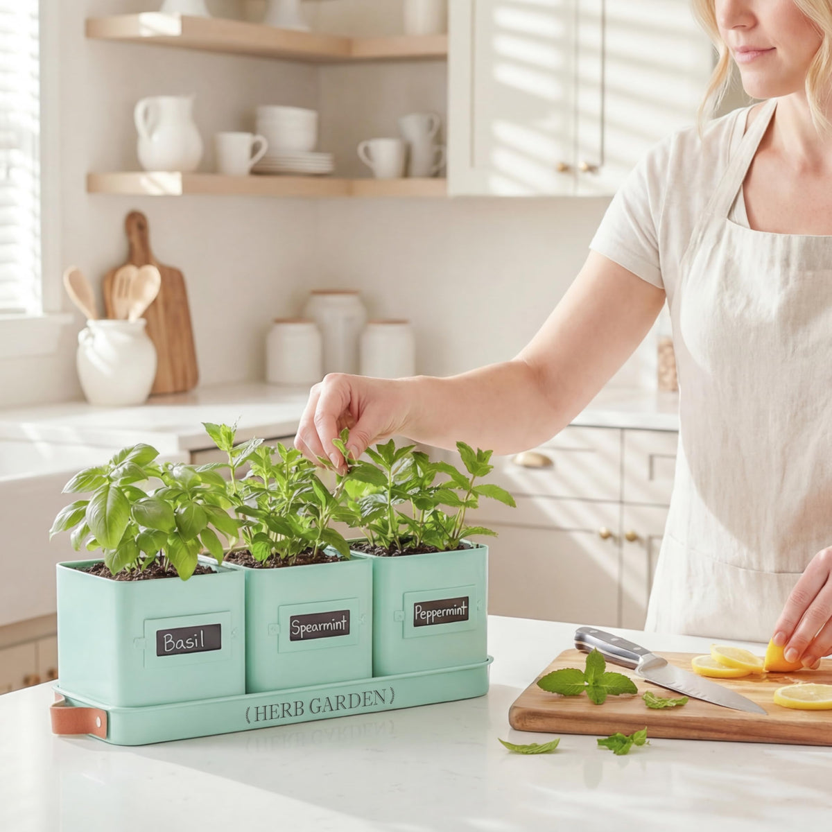 PERFNIQUE versatile indoor plant pots for herbs, flowers, or small vegetables