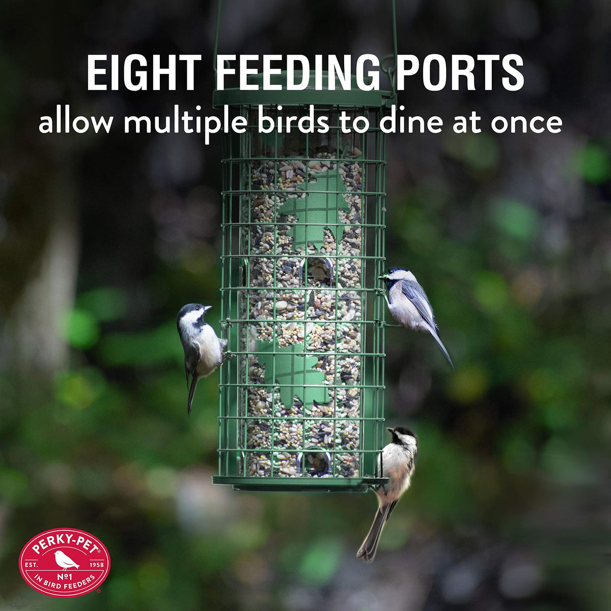 Perky-Pet 3 lb capacity helps keep birdseed available during busy feeding times.
