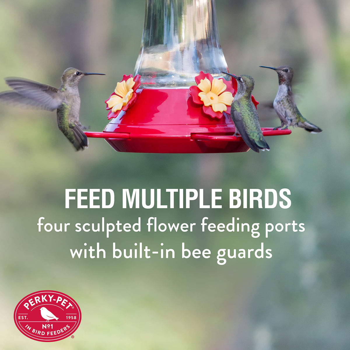 Perky-Pet feeder showing adjustable perch to support multiple hummingbirds