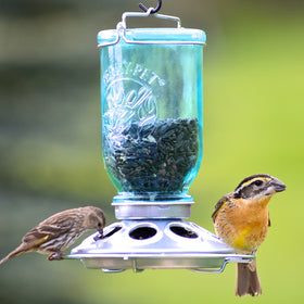 Perky-Pet Blue Antique Mason Jar Bottle adds charm while attracting garden birds.