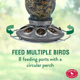 Perky-Pet Circular Perch invites birds to sit and dine comfortably.