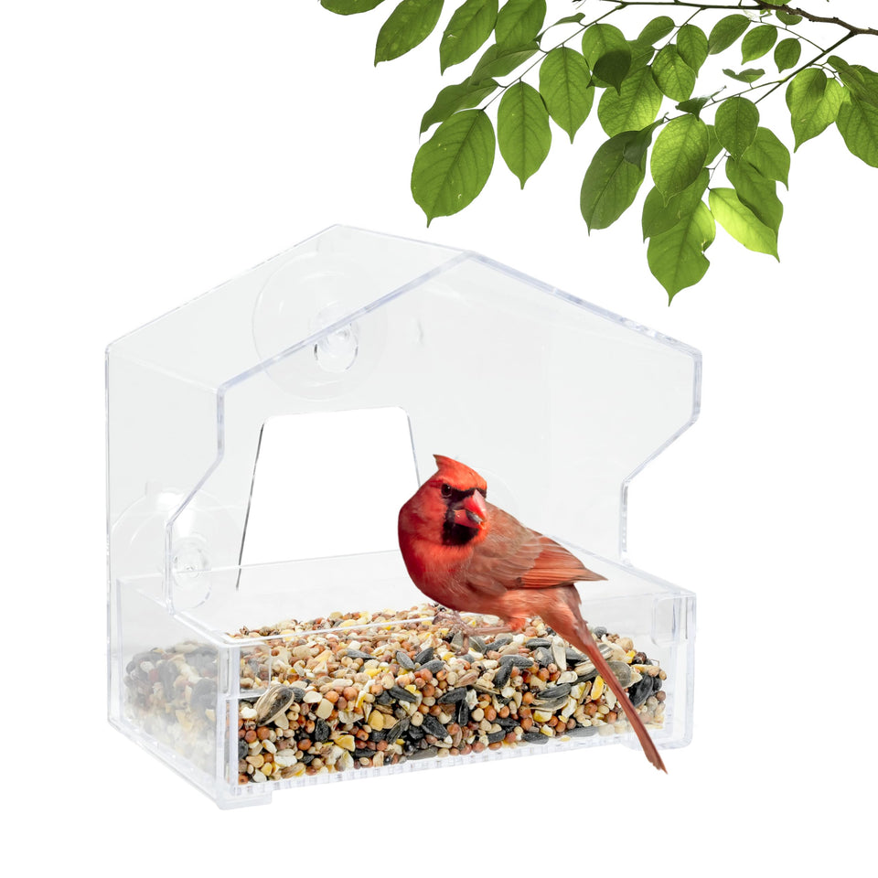 Perky-Pet Clear Window Bird Feeder offers close-up viewing of colorful birds.