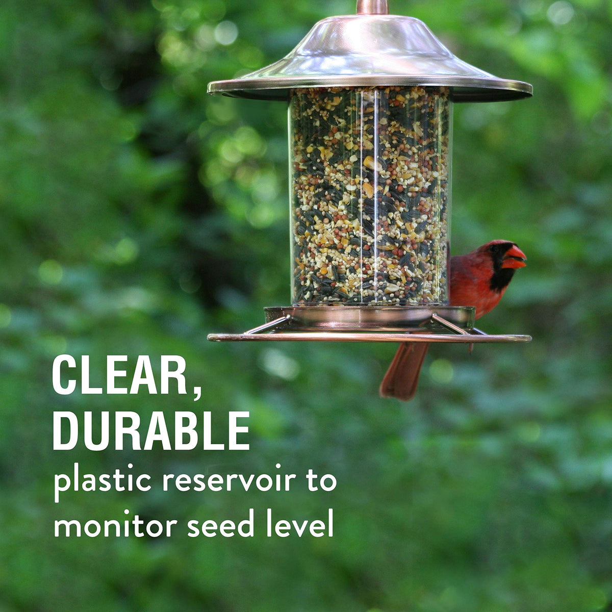 Perky-Pet Copper Panorama clear reservoir shows seed level at a glance.