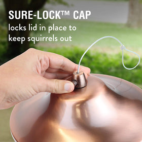 Perky-Pet Copper Panorama holds up to two pounds of seed in the tank.