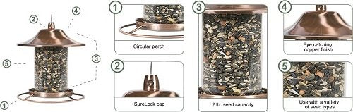 Perky-Pet Copper Panorama deterrent design helps discourage squirrels.