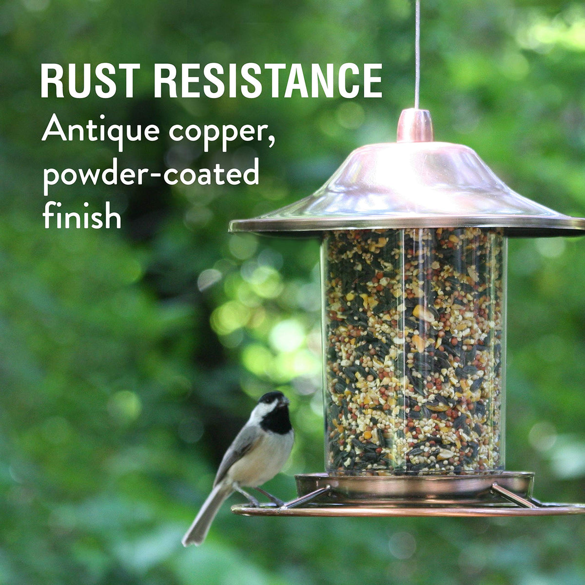 Perky-Pet Copper Panorama lid with Sure-Lock keeps squirrels out.