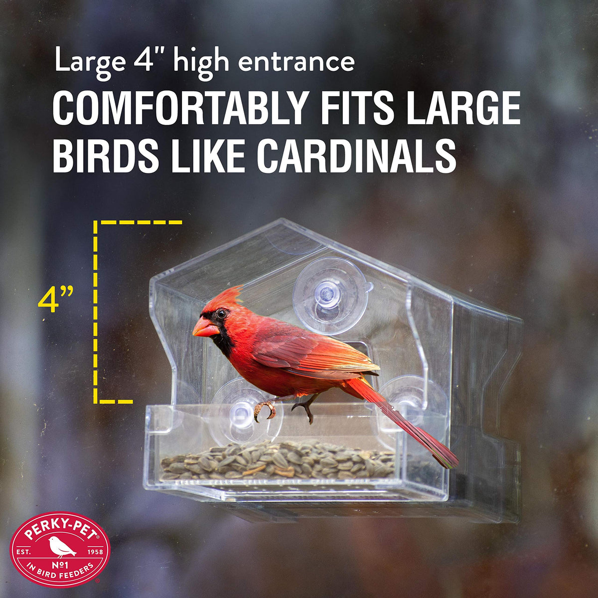 Removable seed tray on Perky-Pet feeder allows easy refilling and cleaning.