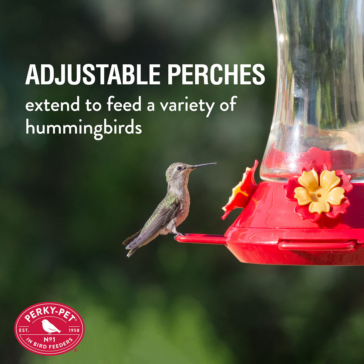 Perky-Pet reversing funnel cap eases filling and cleaning