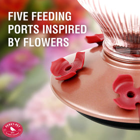 Perky-Pet Rose Gold five-port feeder supports multiple hummingbirds.