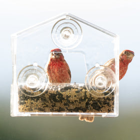 Perky-Pet window feeder with three suction cups for secure glass mounting.