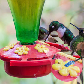 Perthlin hummingbird feeder brush small — reaches tiny crevices.