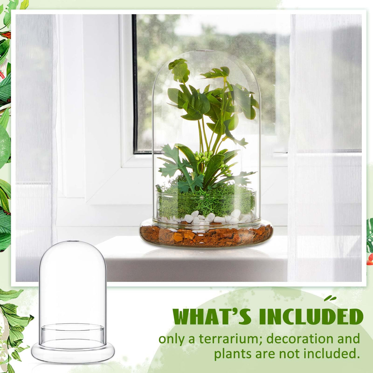 Perthlin glass terrarium with airhole on top highlights airflow and visibility