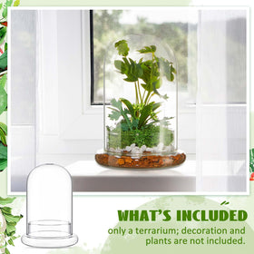 Perthlin glass terrarium with airhole on top highlights airflow and visibility