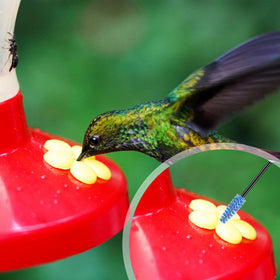 Perthlin hummingbird feeder kit yellow mini brushes for hard-to-reach parts