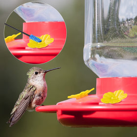 Perthlin outdoor bird lover gift pack featuring flowers and brushes
