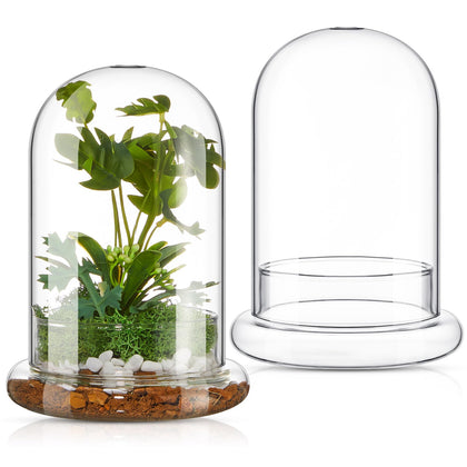 Perthlin two-pack glass terrarium with dome enhances small-space display for home or office