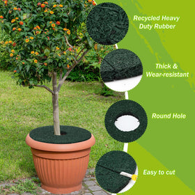 Peryiter ring blocks weeds and aids in neat garden edging around a plant bed.