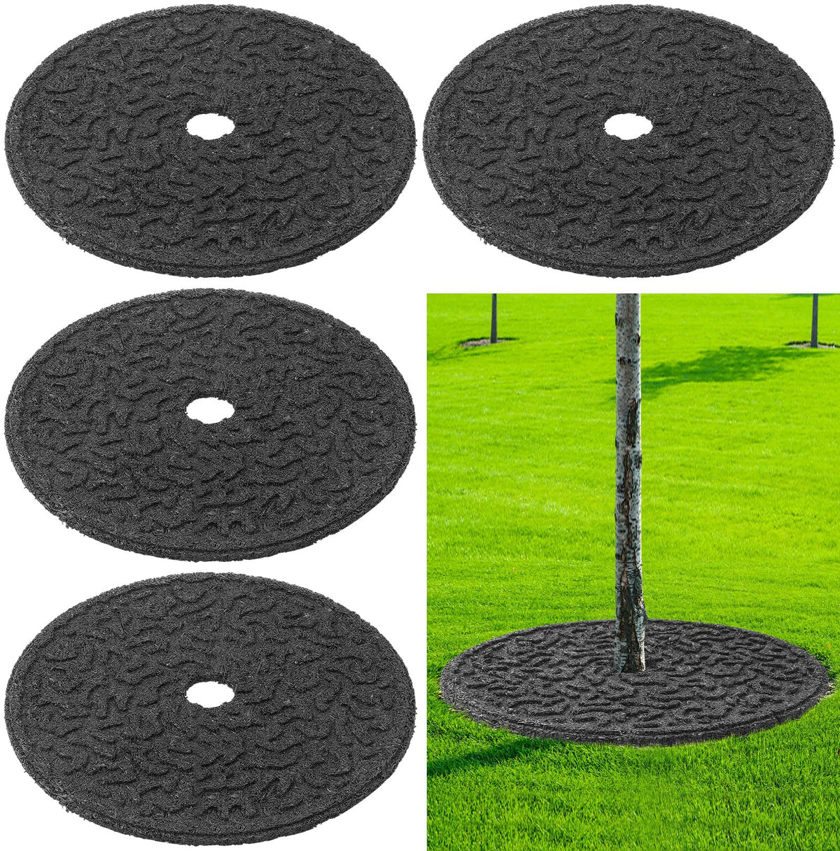 Peryiter rubber tree ring with 24-inch diameter protects roots and blocks weeds.