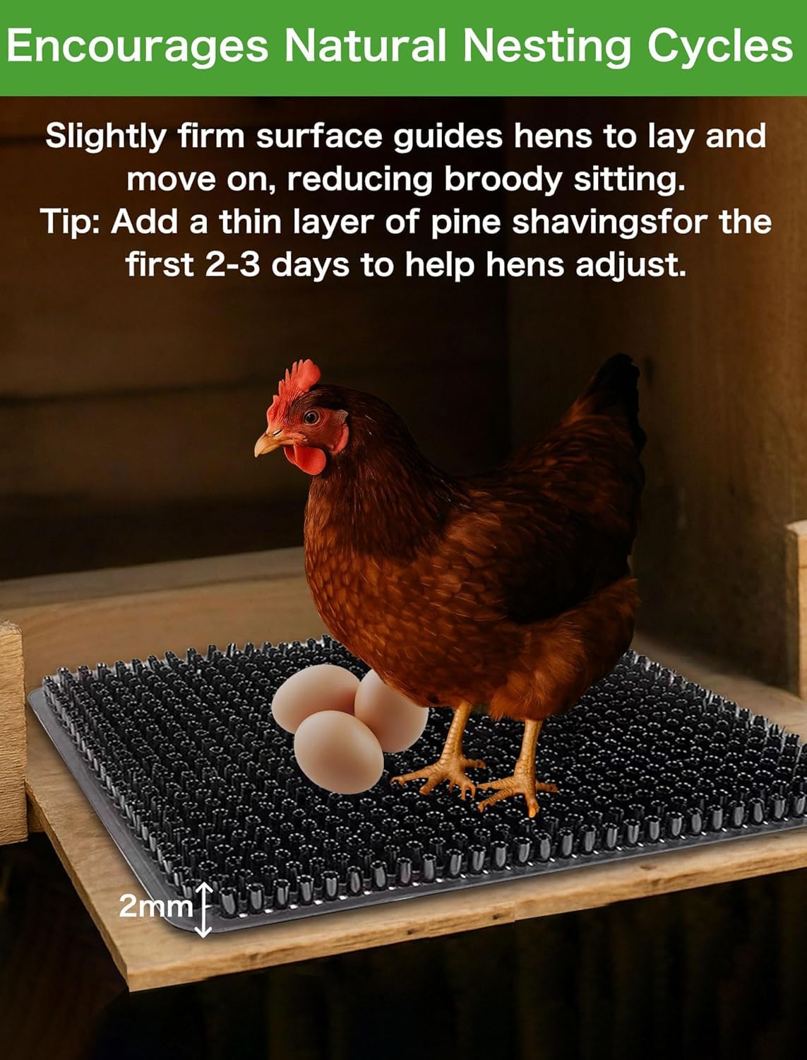PERZUMI virgin PE material provides durable outdoor nesting pads