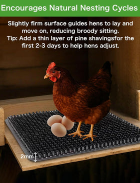 PERZUMI virgin PE material provides durable outdoor nesting pads