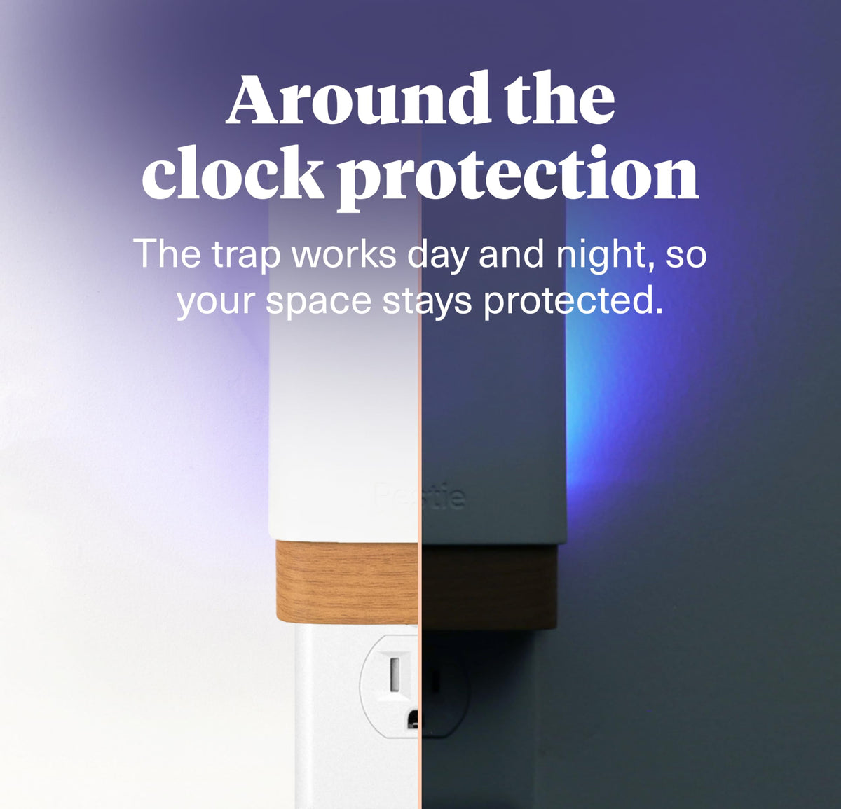 Pestie indoor trap in living room keeps surfaces clean by catching insects