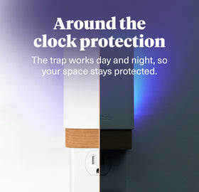 Pestie indoor trap in living room keeps surfaces clean by catching insects