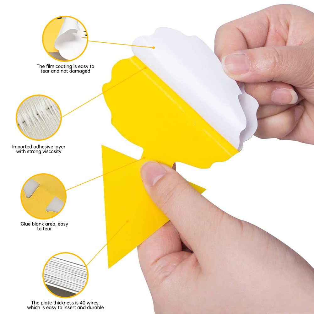 PestMentor adhesive surface captures gnats from multiple angles on plants.