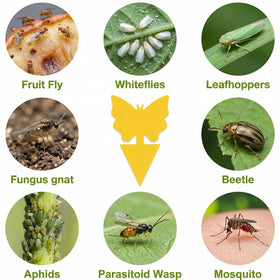 PestMentor easy peel-and-stick setup for quick garden pest relief.