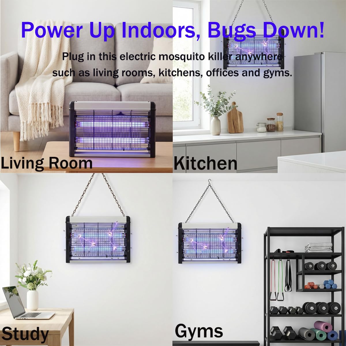 PestMentor indoor restaurant setup demonstrates effective fly trapping