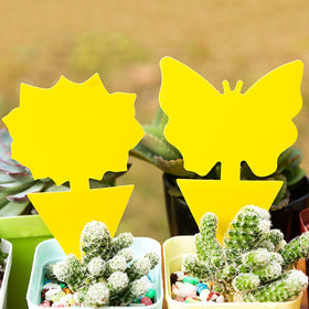 PestMentor long-lasting protection guards houseplants for up to three months.