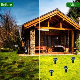 PestMentor Mole Repellent ten-pack box supports bulk outdoor protection.