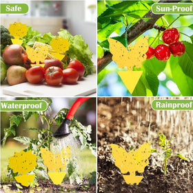 PestMentor odorless traps offer quiet, spray-free pest control.