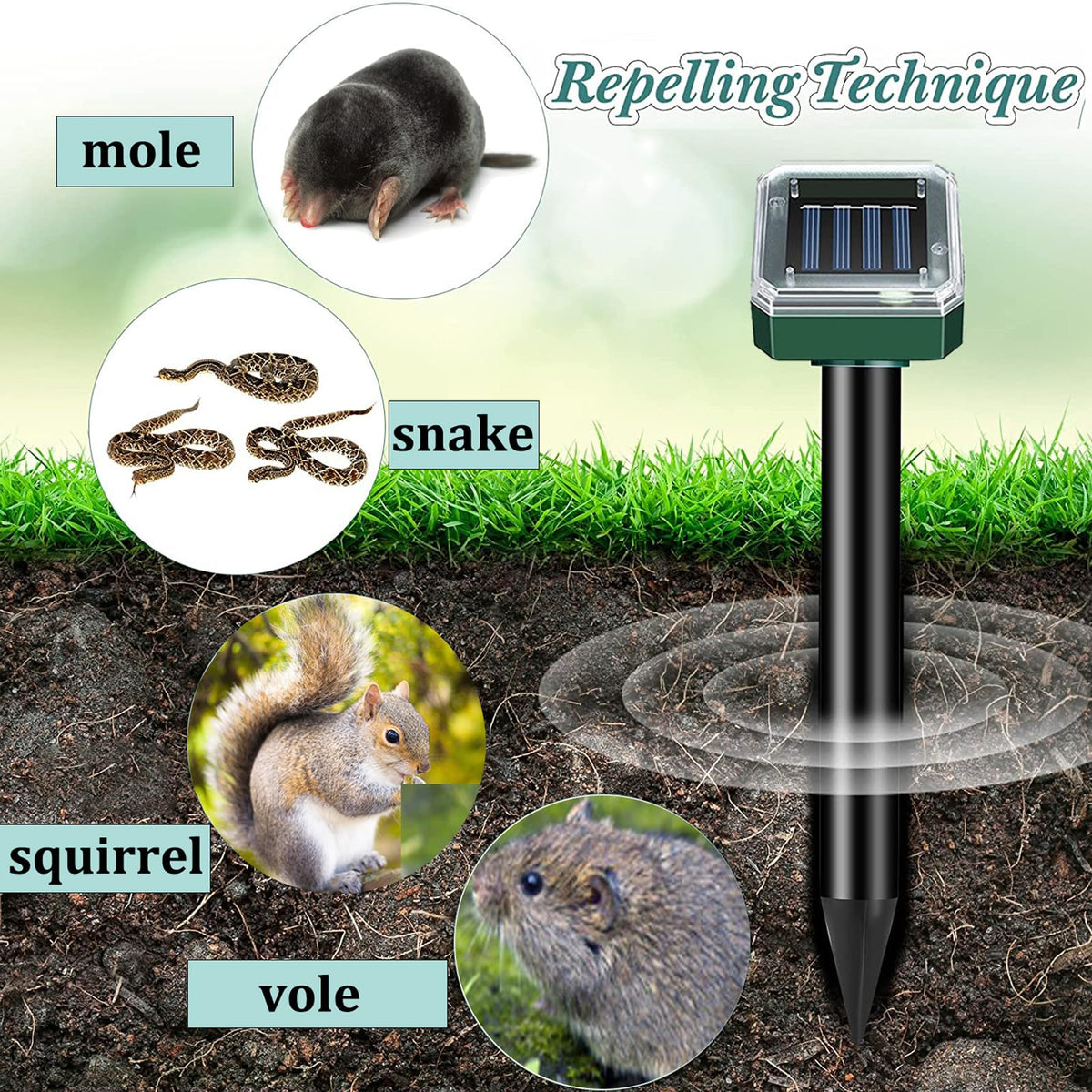 PestMentor Solar Mole Repellent ground installation demonstrates easy placement
