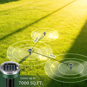 PestMentor yard protection wide view shows comprehensive outdoor coverage.