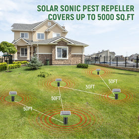 Pestvanish Green Outdoor Deterrent for mole and gopher-free yards.