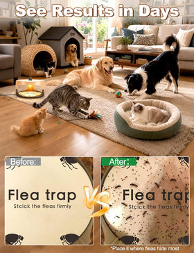 Pestvanish sticky pads refill keeps pest trapping ready and easy to maintain.