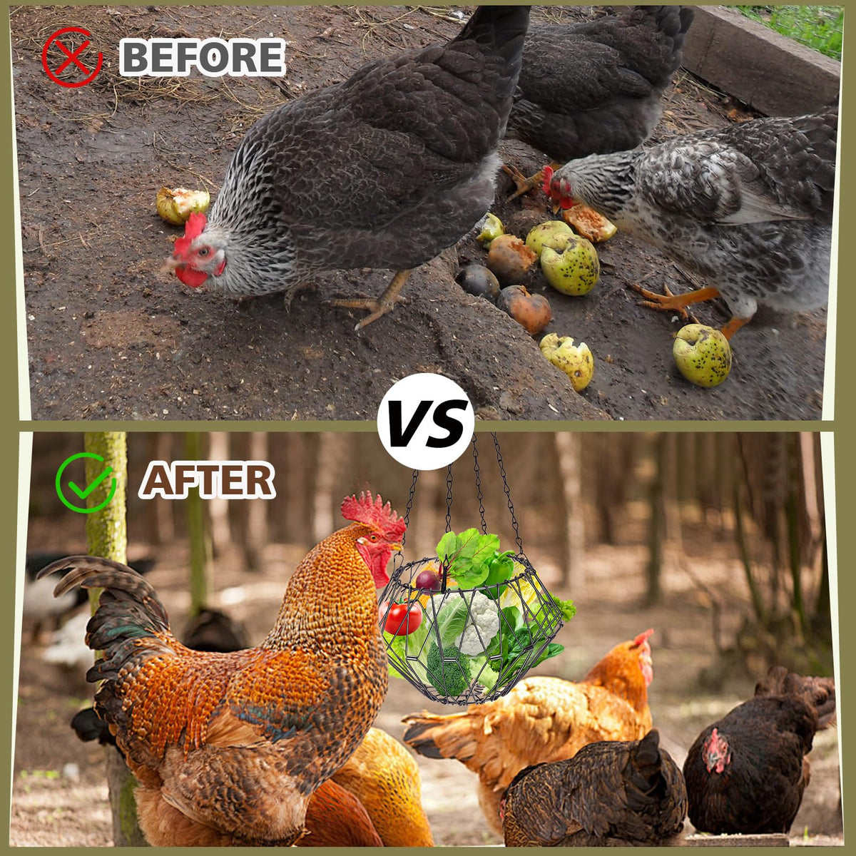 Pet Baby veggie fruit ball design for varied feeding options