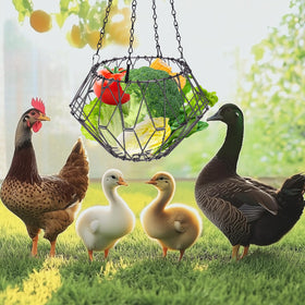 Pet Baby easy-clean chicken feeder simplifies maintenance in coop