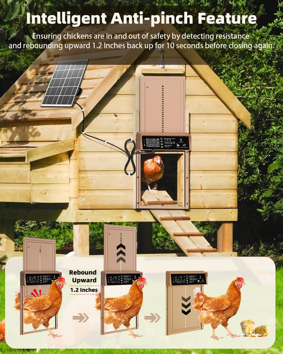 Pet Deluxe anti-pinch safety sensor protects chickens during door travel