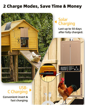 Pet Deluxe included accessories for quick, stress-free setup
