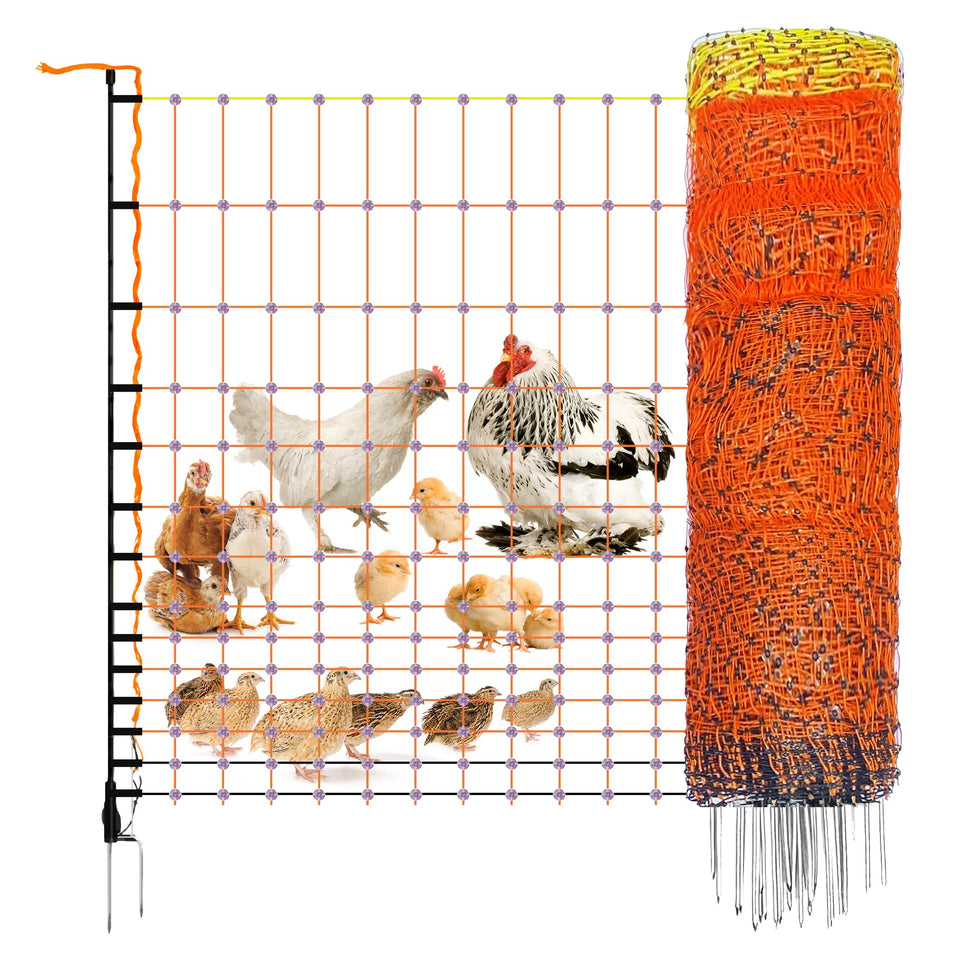 Pet & Livestock HQ electric fence netting setup in pasture for free-range poultry.