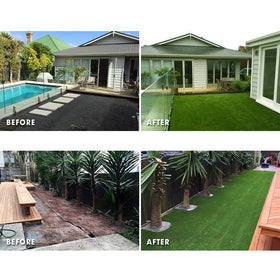 Petgrow eco-friendly lawn alternative reduces mowing and watering effort