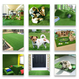 Petgrow lush-green-year-round turf creates vibrant spaces without mowing or watering.